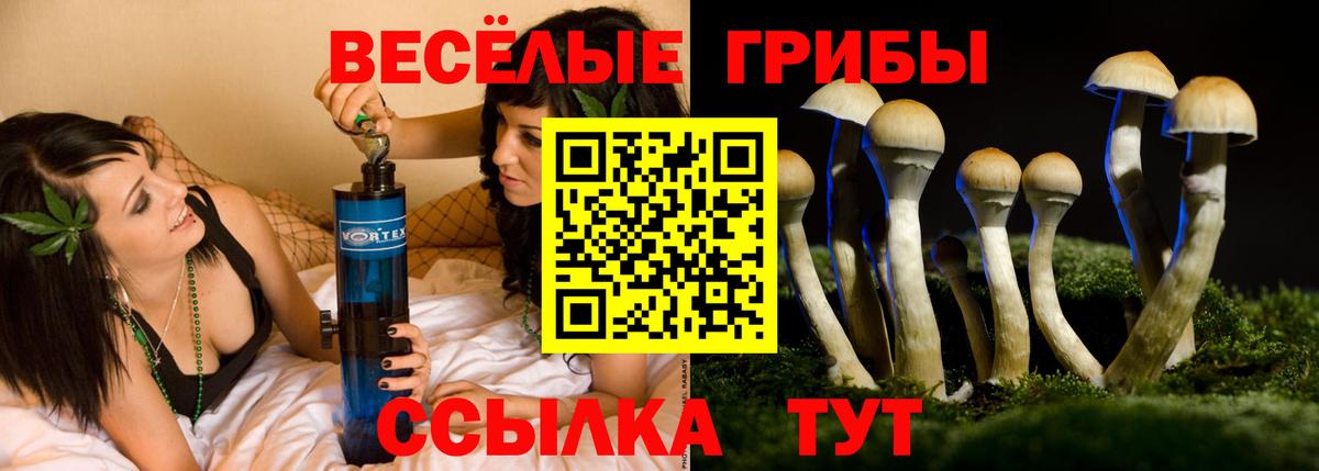 хочу   Вход с VPN  Мытищи  Псилоцибиновые грибы GOLDEN TEACHER 